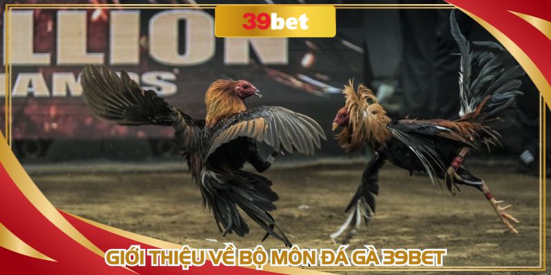Đá gà 39BET là thể loại giải trí hấp dẫn và kịch tính