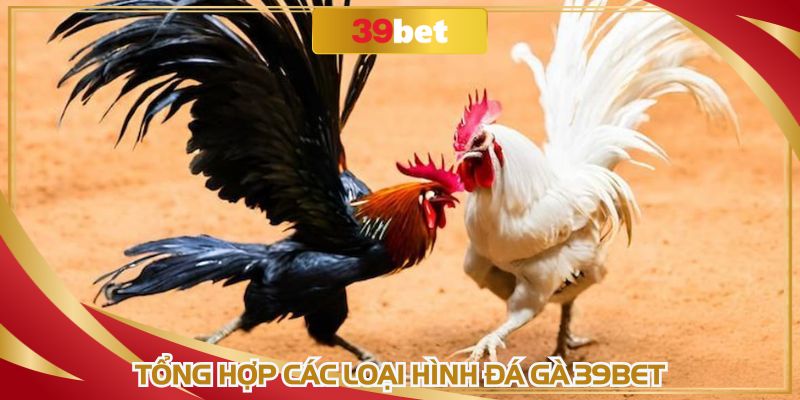 Mỗi hình thức trong đá gà 39BET với cách chơi khác nhau